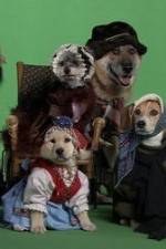 Watch Heidi 4 Paws 123moviesFree