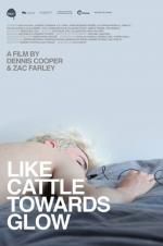 Watch Like Cattle Towards Glow 123moviesFree