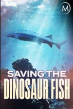 Watch Saving the Dinosaur Fish 123moviesFree