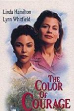 Watch The Color of Courage 123moviesFree