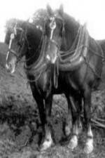 Watch All the King\'s Horses 123moviesFree