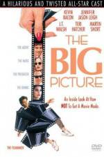 Watch The Big Picture 123moviesFree