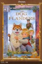 Watch The Dog of Flanders 123moviesFree