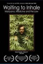 Watch Waiting to Inhale 123moviesFree