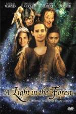 Watch A Light in the Forest 123moviesFree