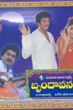 Watch Brundavanam 123moviesFree