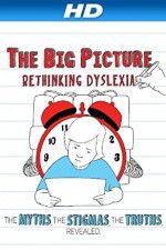 Watch The Big Picture Rethinking Dyslexia 123moviesFree