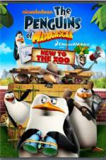 Watch Penguins of Madagascar New to the Zoo 123moviesFree