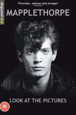 Watch Mapplethorpe: Look at the Pictures 123moviesFree