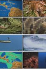 Watch National Geographic:  Worlds Deadliest Animals - North America 123moviesFree