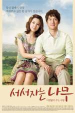 Watch Sleeping Tree 123moviesFree