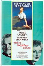 Watch These Wilder Years 123moviesFree