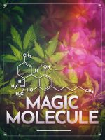 Watch Magic Molecule 123moviesFree