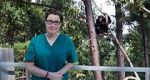 Watch Sue Perkins and the Chimp Sanctuary 123moviesFree