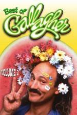 Watch Gallagher Stuck in the Sixties 123moviesFree