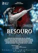 Watch The Assailant 123moviesFree