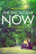 Watch The Spectacular Now 123moviesFree
