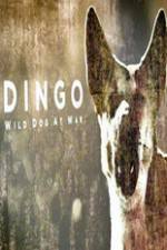 Watch Dingo Wild Dog at War 123moviesFree