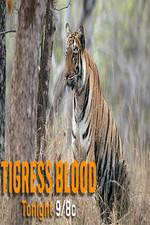 Watch Discovery Channel-Tigress Blood 123moviesFree