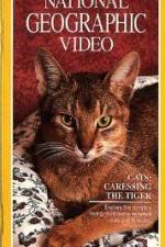 Watch Cats Caressing the Tiger 123moviesFree
