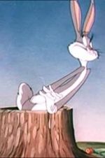 Watch The Unruly Hare 123moviesFree