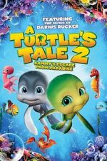 Watch A Turtle\'s Tale 2: Sammy\'s Escape from Paradise 123moviesFree
