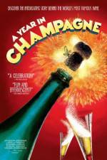 Watch A Year in Champagne 123moviesFree