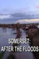 Watch Somerset: After the Floods 123moviesFree