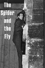 Watch The Spider and the Fly 123moviesFree