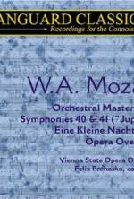 Watch Whiteforce 123moviesFree