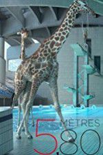 Watch 580 mètres 123moviesFree