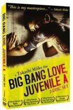 Watch Big Bang Love Juvenile A 123moviesFree