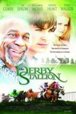 Watch The Derby Stallion 123moviesFree