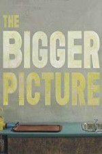 Watch The Bigger Picture 123moviesFree