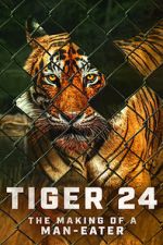 Watch Tiger 24 123moviesFree