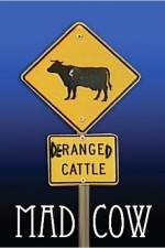 Watch Mad Cow 123moviesFree