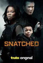 Watch Snatched 123moviesFree
