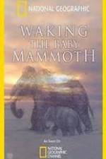 Watch Waking the Baby Mammoth 123moviesFree