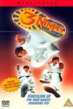 Watch 3 Ninjas Knuckle Up 123moviesFree