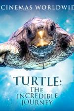 Watch Turtle The Incredible Journey 123moviesFree