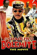 Watch Shaolin Dolemite 123moviesFree