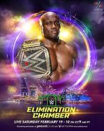 Watch WWE Elimination Chamber (TV Special 2022) 123moviesFree