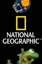 Watch National Geographic Wild Dam Beavers 123moviesFree