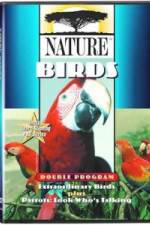 Watch PBS Nature - Extraordinary Birds 123moviesFree