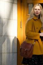 Watch The Company You Keep 123moviesFree