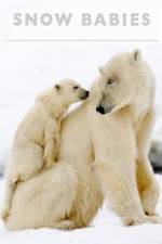 Watch Snow Babies 123moviesFree