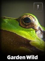 Watch Garden Wild! 123moviesFree