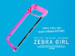 Watch Zebra Girl 123moviesFree