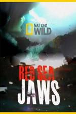 Watch National Geographic Red Sea Jaws 123moviesFree