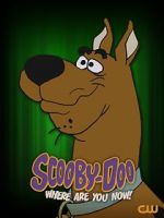 Watch Scooby-Doo, Where Are You Now! (TV Special 2021) 123moviesFree